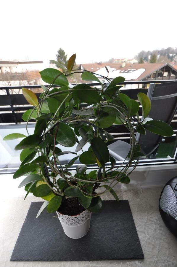 Ferienwohnung-In-Prien 外观 照片